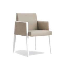 Jill Armchair Pedrali at DeFrae Contract Furniture