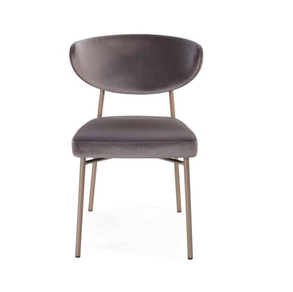 Albie side chair with brass frame DeFrae Contract Furniture Ivy Side Chair Laco Hero