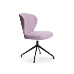 Abbraccio Deluxe side chair spider base Accento at DeFrae Contract Furniture.png